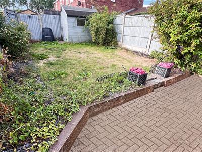 Picture 17
